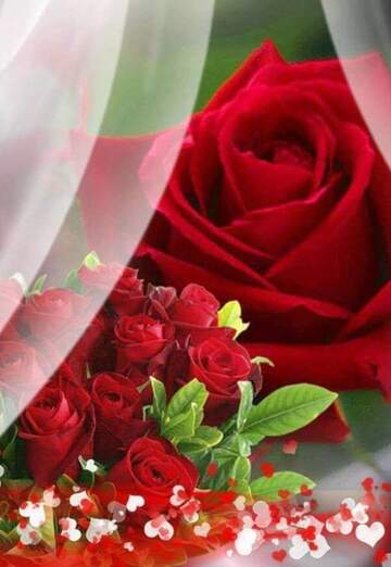 ppwe (@ppwe) — my photo № 1