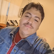 Erick 27 Chihuahua