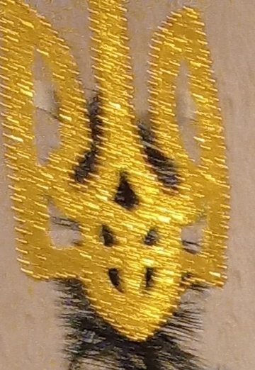 LILIYa. 🇺🇦🇺🇦🇺🇦 (@liliya38412) — my photo № 17