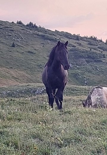 مسافر (@al9prkp3ms) — my photo № 3