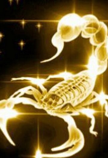 Timur (@timur88017) — моя фотография № 1