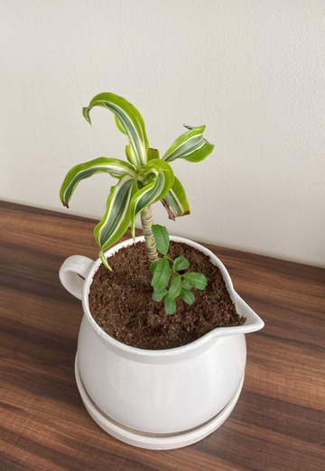 Justin (@gil115) — my photo № 2