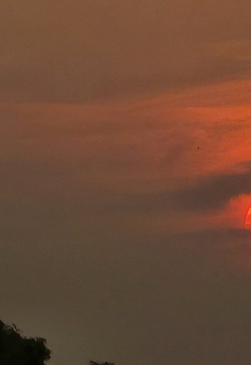 Harsh (@harsh492) — my photo № 1