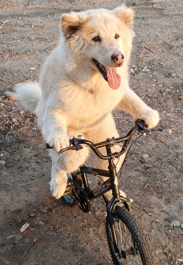 Luis (@luis3656) — my photo № 2