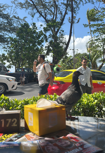 Saad (@saad628) — my photo № 1