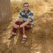 Aleksandr 65 Beer Sheva