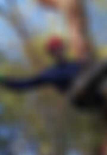 My photo - damian, 39 from Valencia (@damian814)