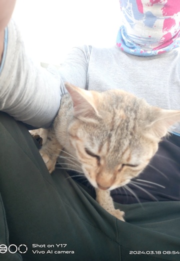 Sahbaaz (@sahbaaz) — my photo № 1