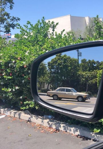 Mrd (@chikwana) — my photo № 1