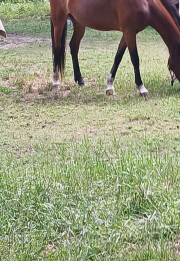 Harry (@harry2288) — my photo № 5