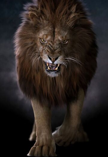 SHARIF (@sharif2211) — my photo № 1