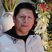 Percy 49 San Borja